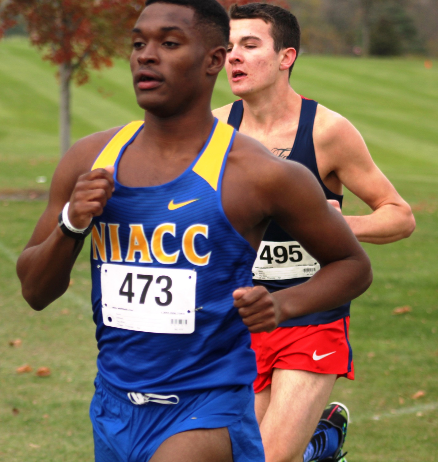 Sophomore David Carter runs at the regional meet in Fort Dodge on Oct. 29.