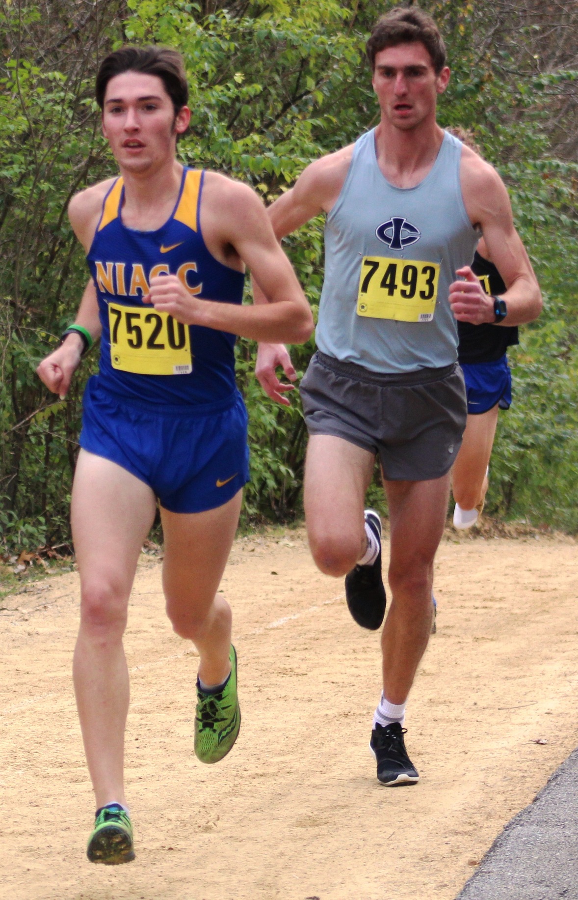 NIACC's Gavin Connell runs at the regional meet in Bettendorf on Oct. 26.