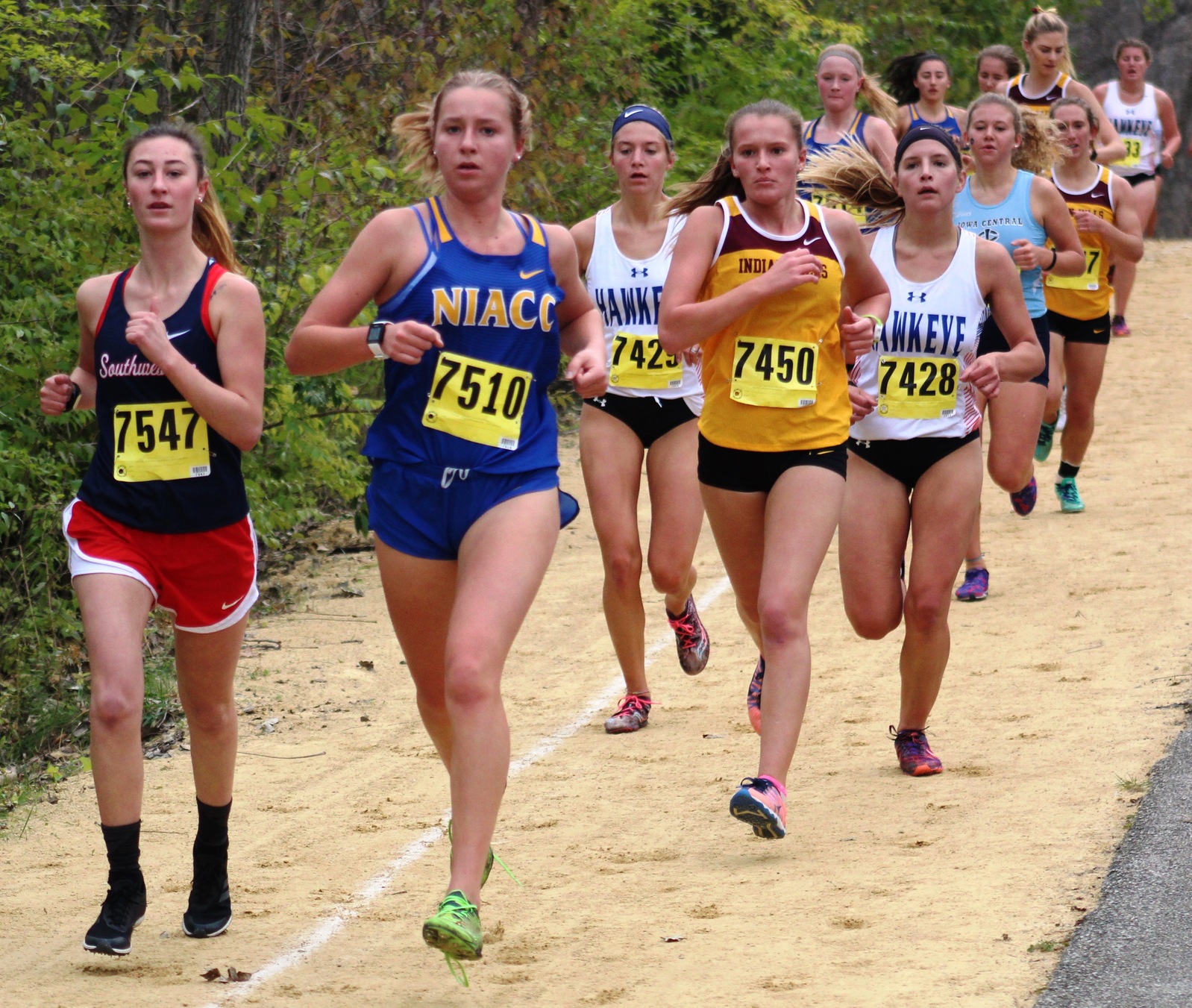 NIACC's Cecelia Hemsworth competes at the regional meet on Oct. 26 in Bettendorf.