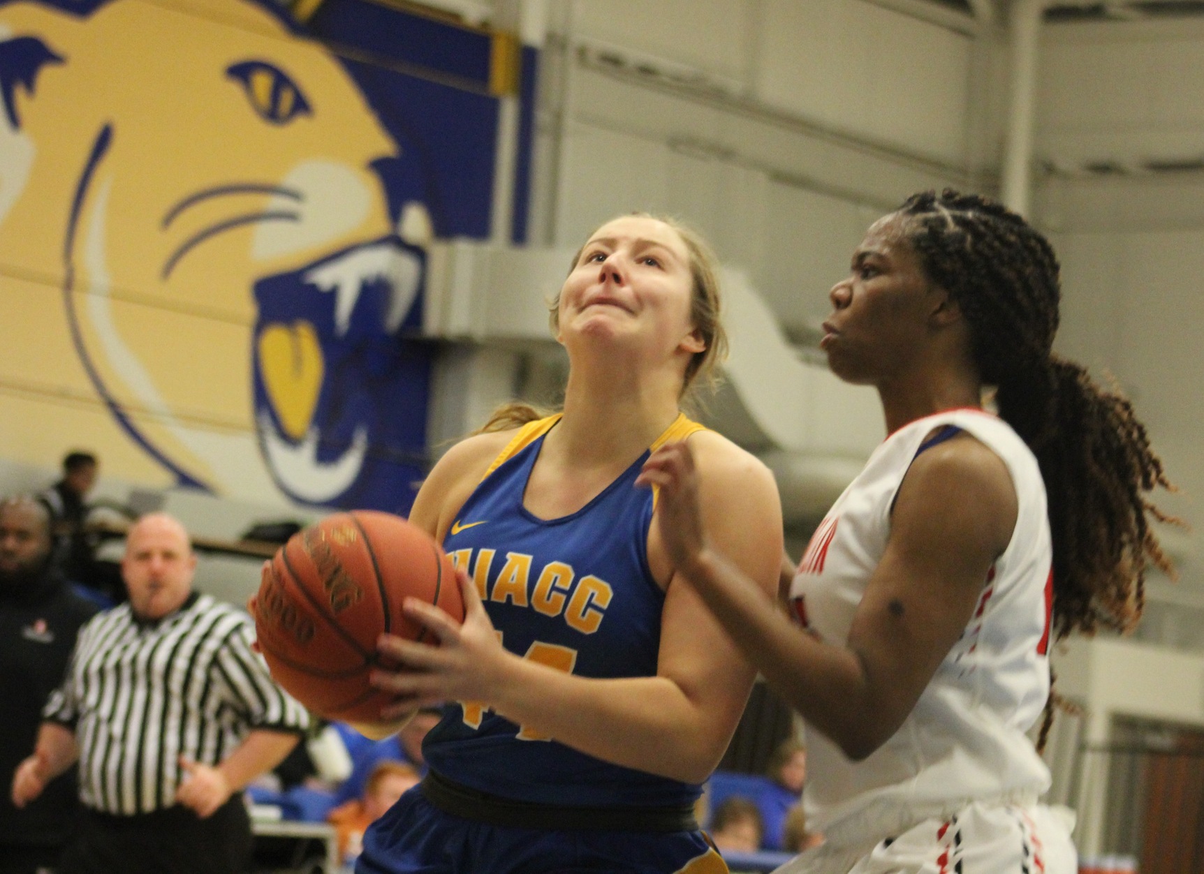 NIACC's Sydney Wetlaufer converts a layup in the first half of Monday's game against Sinclair CC.