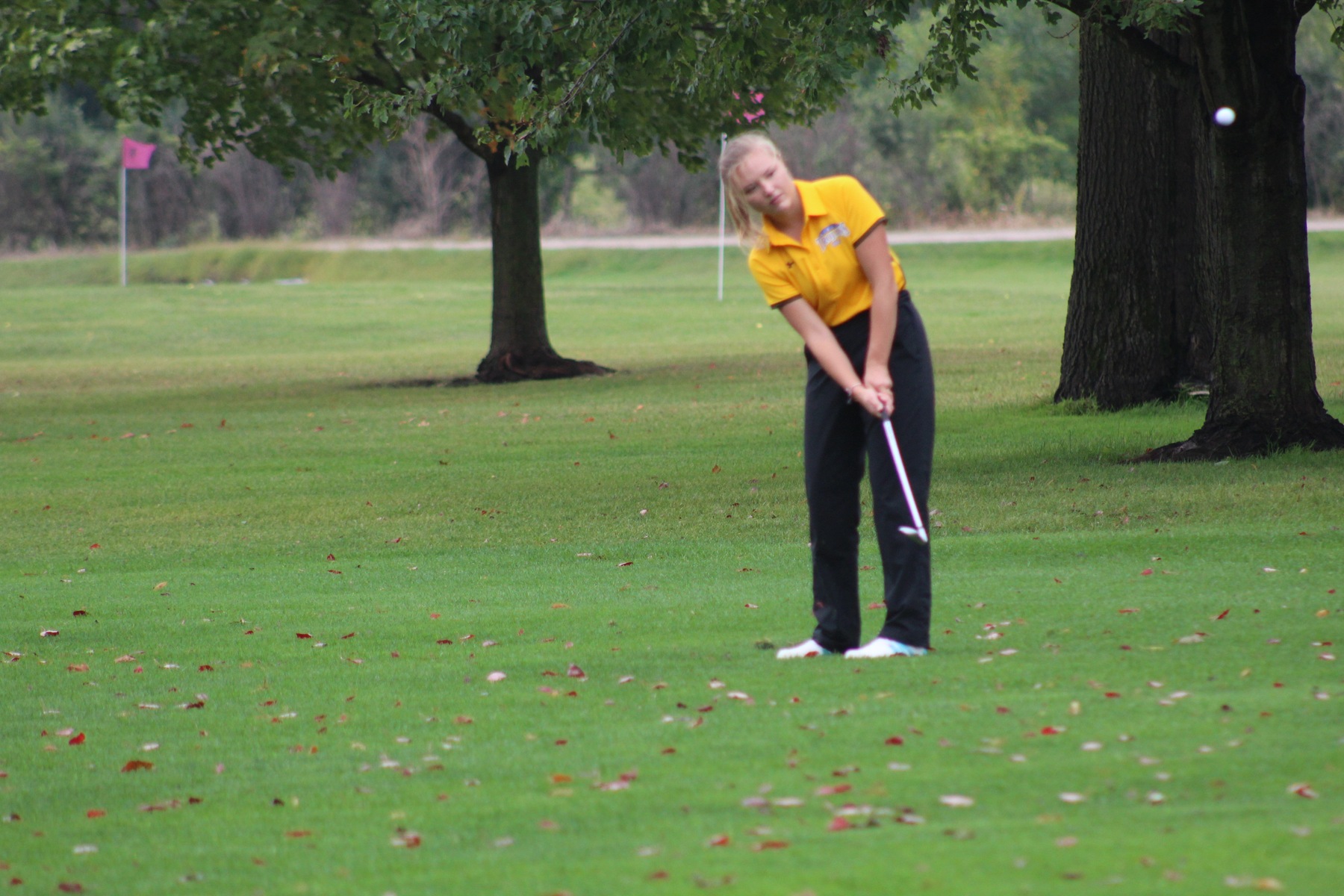 NIACC's Thea Lunning chips onto the ninth green during Thursday's NIACC Fall Invitational at the Mason City Country Club.