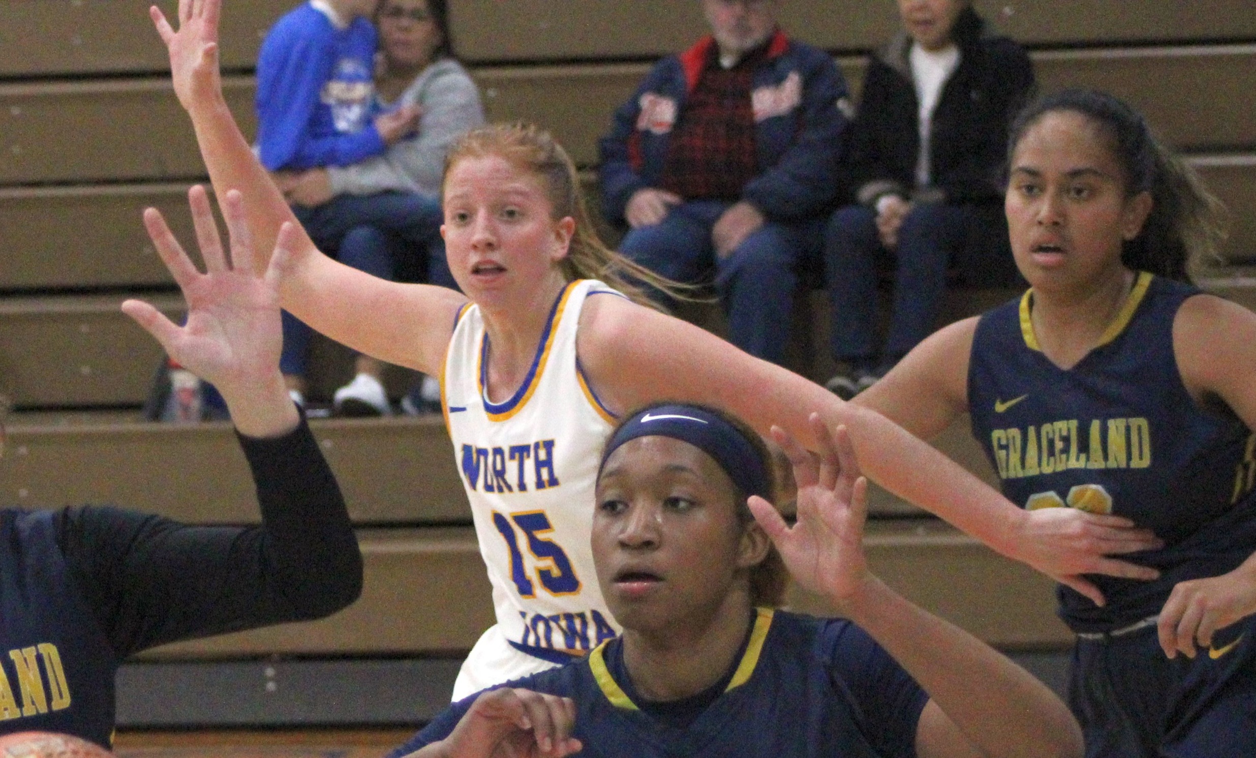 NIACC's Jackie Pippett was selected as the ICCAC women's basketball player of the week for the week of Jan. 3-9.