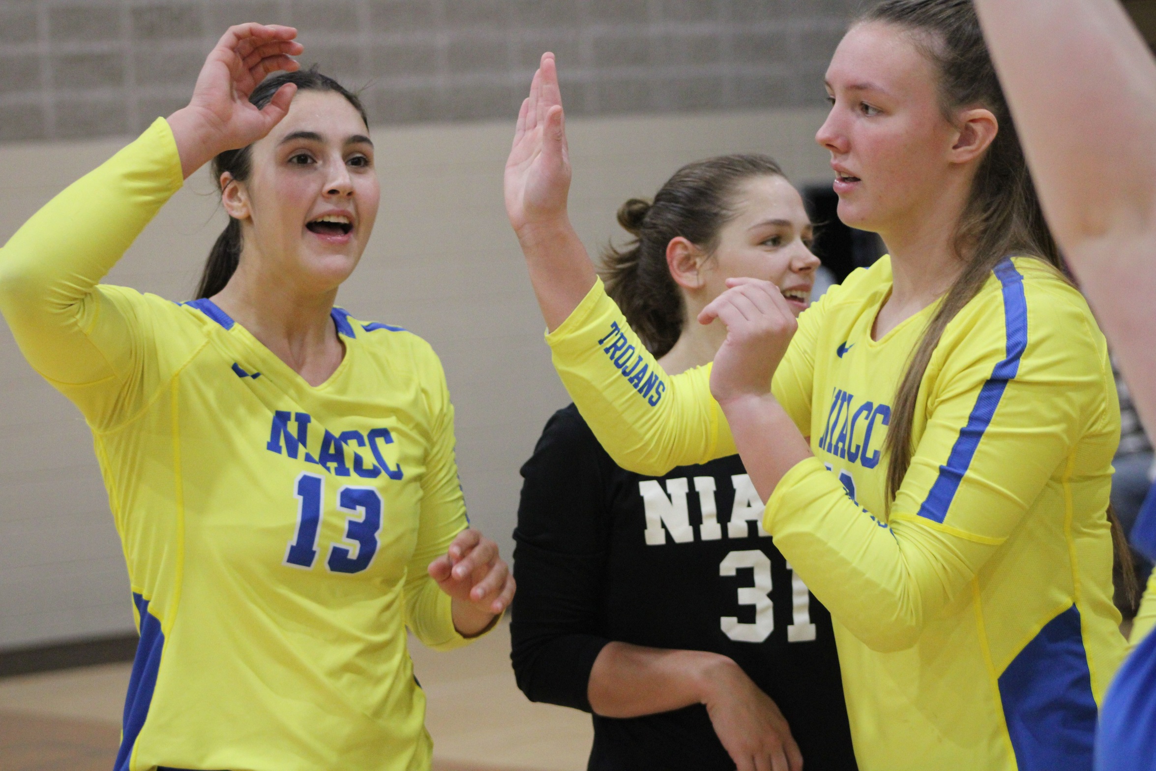 NIACC players celebrate a win Saturday at the NIACC tournament.