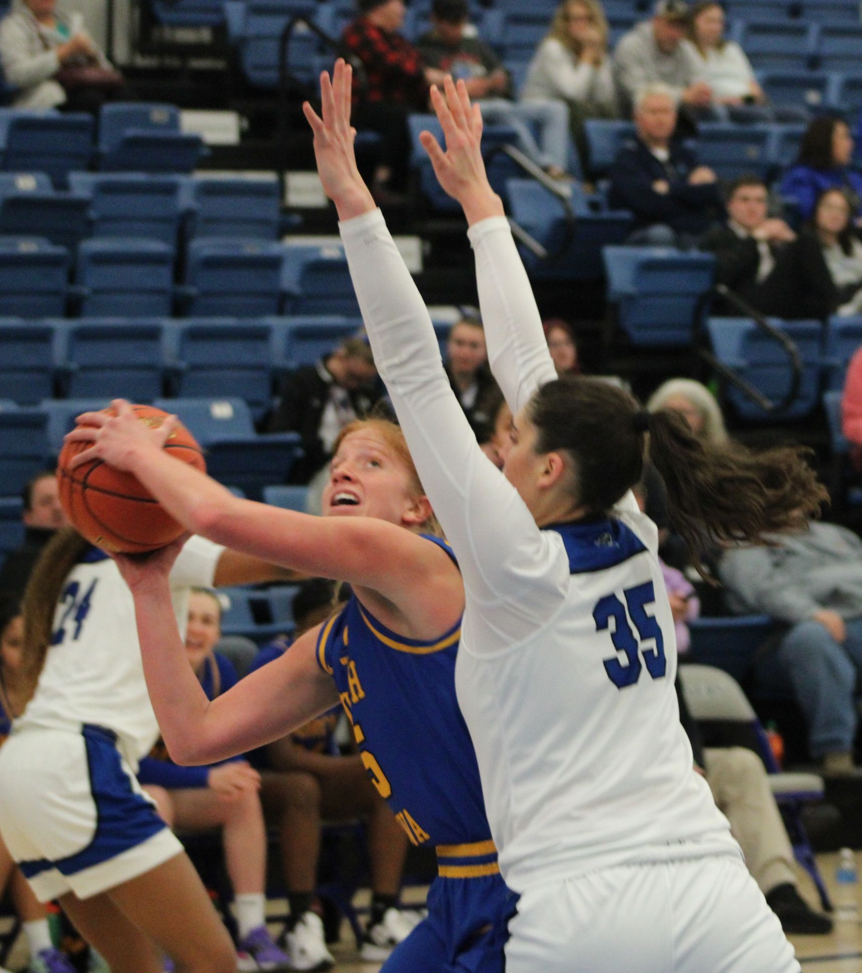 NIACC's Jackie Pippett was selected as the ICCAC player of the week for the week of Feb. 6-12.