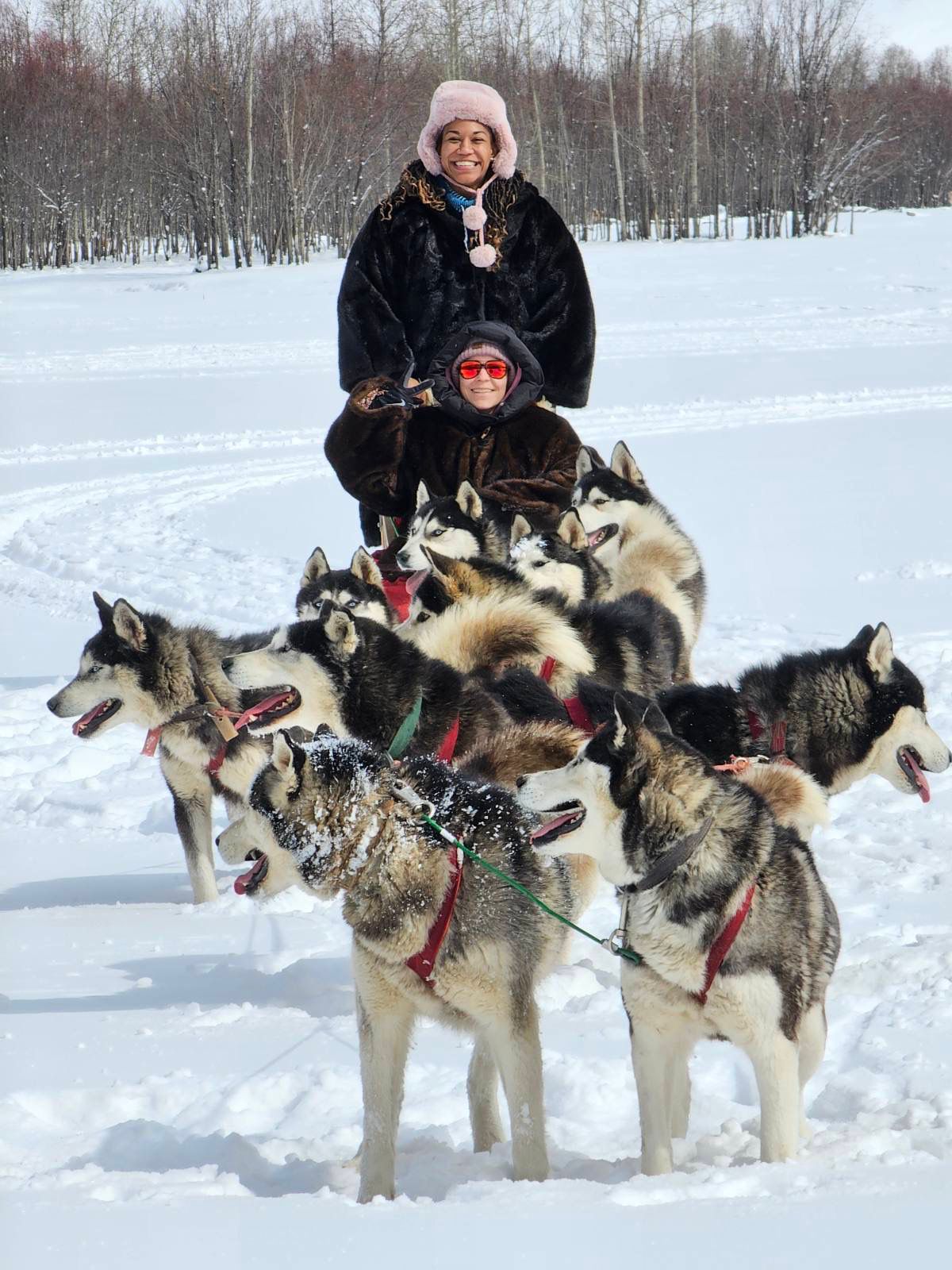 NIACC assistant wrestling coach CarrieAnn Randolph dogsledding in Mongolia in April.
